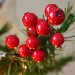 Christmas Tree Berries