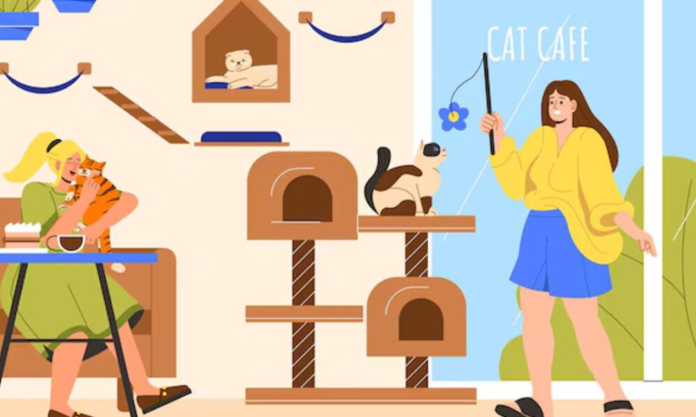 Do You Know How to Choose a Suitable Cat Tree?