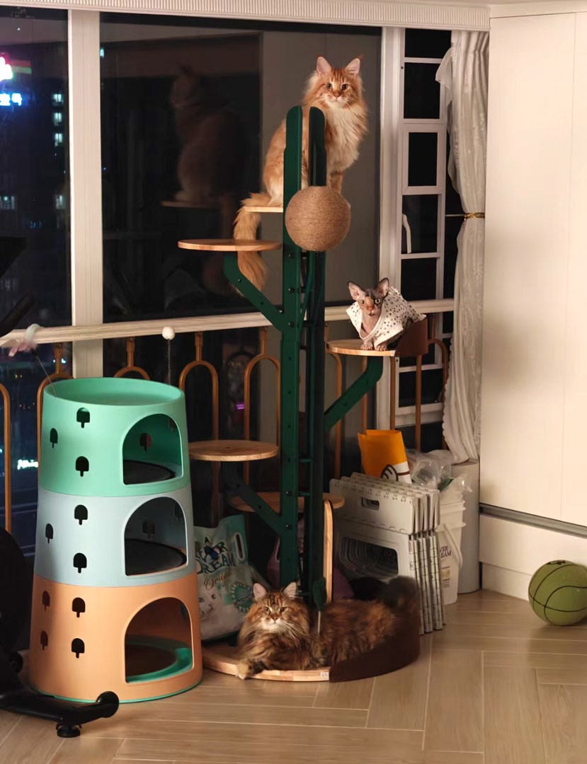 Stackable Cat Tree Do You Know How to Choose a Suitable Cat Tree?