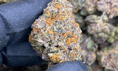 THCa Flower