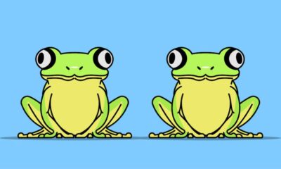 frog butt