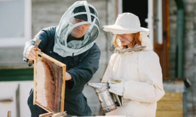 Beekeeping Tools