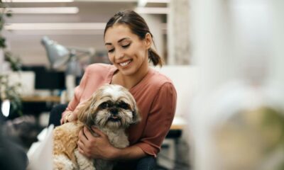 Dog-Friendly Spaces