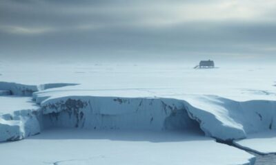 Antarctic News