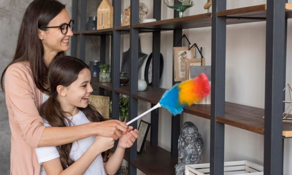 The Link Between Clutter and Infestations: Decluttering for Pest Prevention