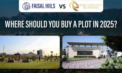 Faisal Hills