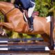 Jump Course