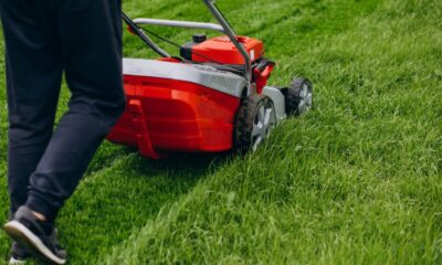 Lawn Care