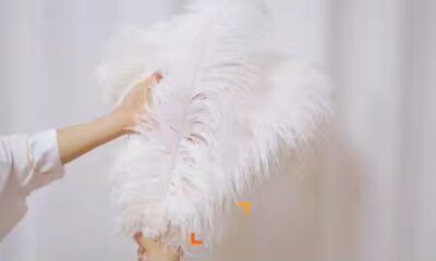 Ostrich Feather Fringe