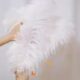 Ostrich Feather Fringe