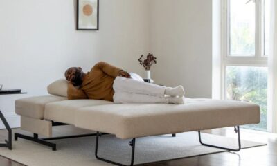 Pull Out Sofa Bed