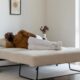Pull Out Sofa Bed