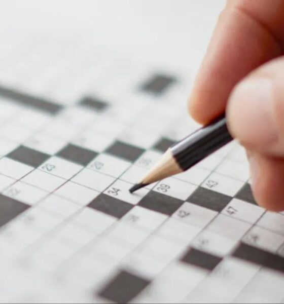 bumped things nyt crossword