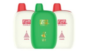 Flum Pebble Disposable Vape (5%, 6000 Puffs)