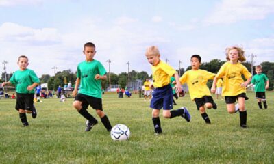 sports harmonicode
