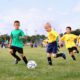 sports harmonicode