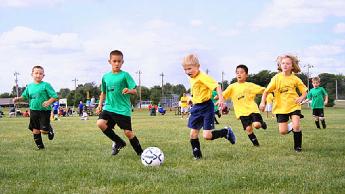 sports harmonicode