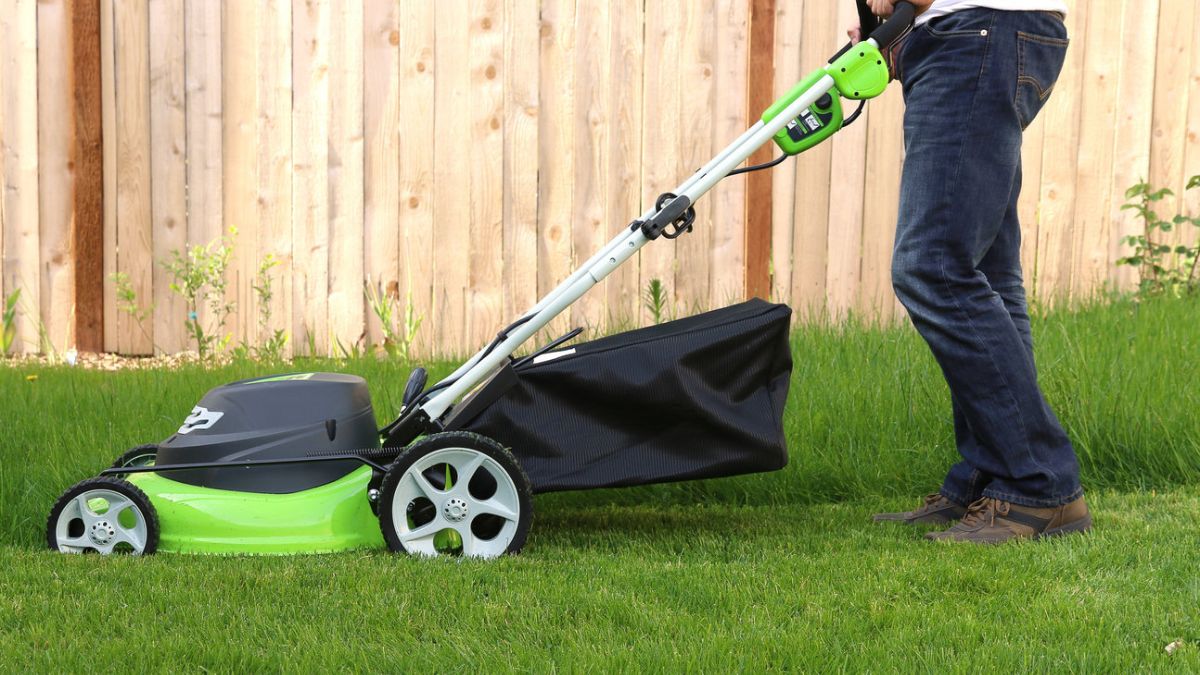 Lawn Care