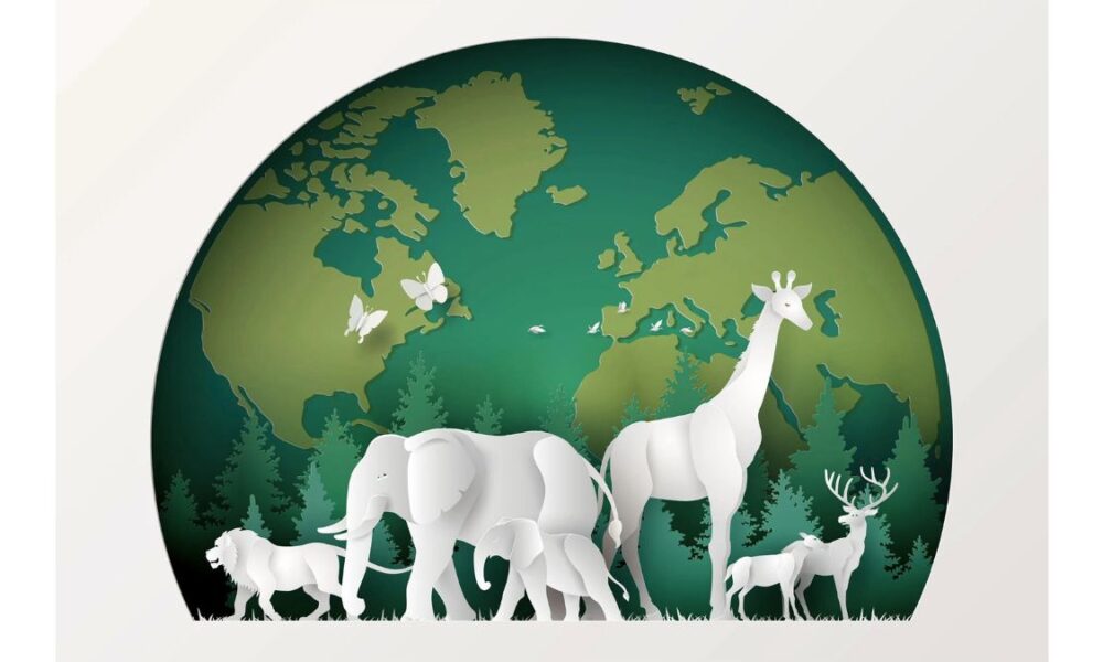 Nature Document What Nature Documentaries Teach Us About Climate, Conservation, and ...