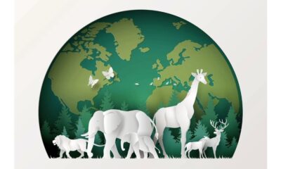 Nature Documentaries