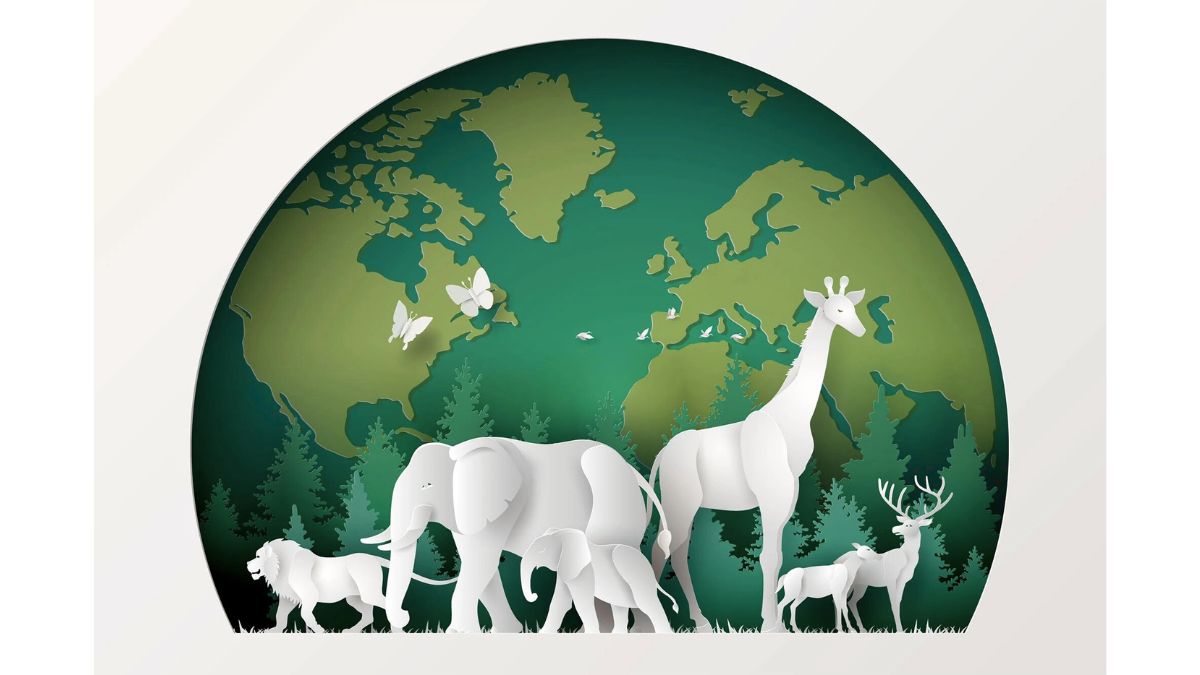 Nature Documentaries