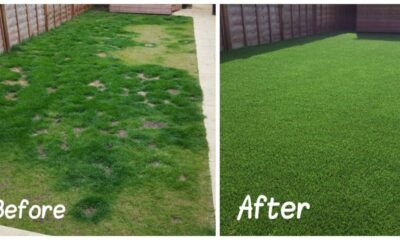 Artificial Grass