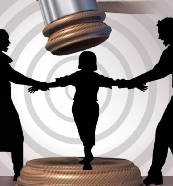 Child Custody Cases