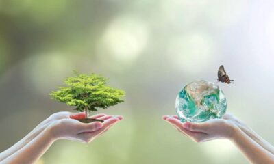 Sustainable