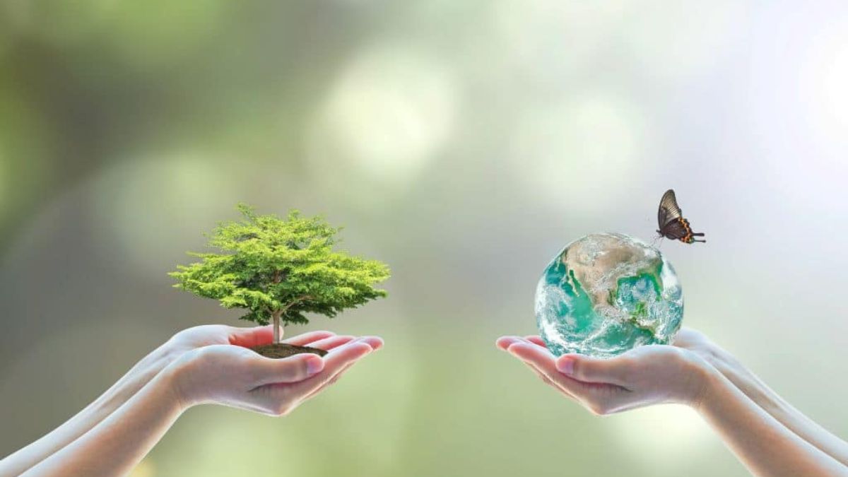 Sustainable