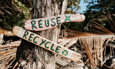 PET Recyclable Storage