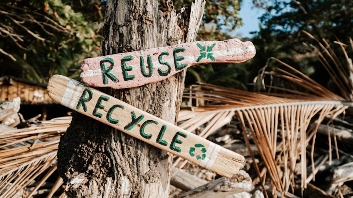 PET Recyclable Storage