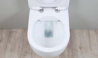 Toilets Work