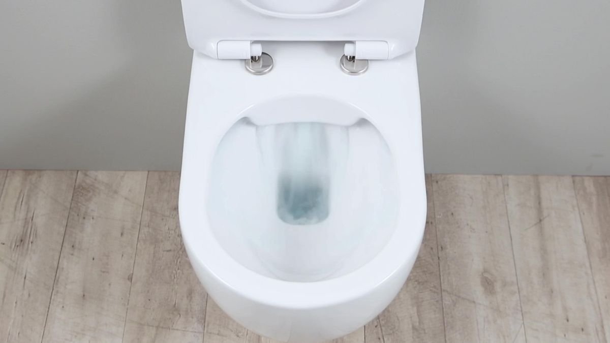 Toilets Work