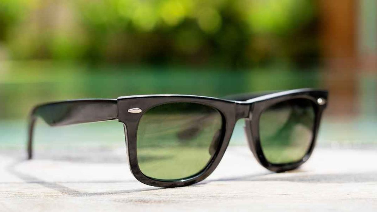 Wayfarer Sunglasses
