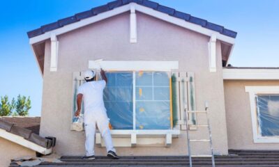 Paint
