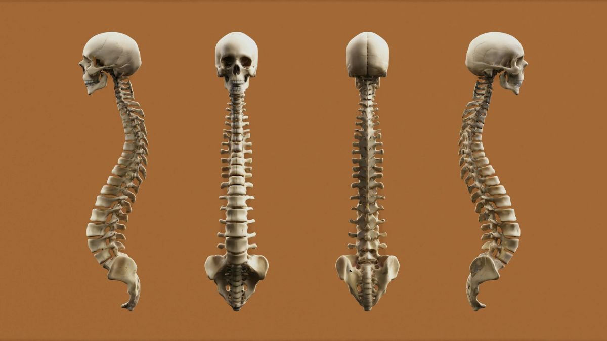 osteopur