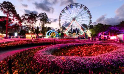 sydney This Weekend