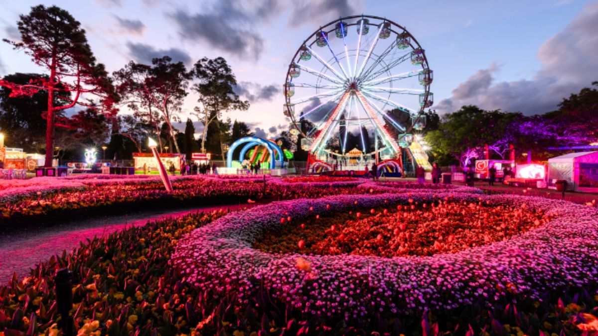 sydney This Weekend