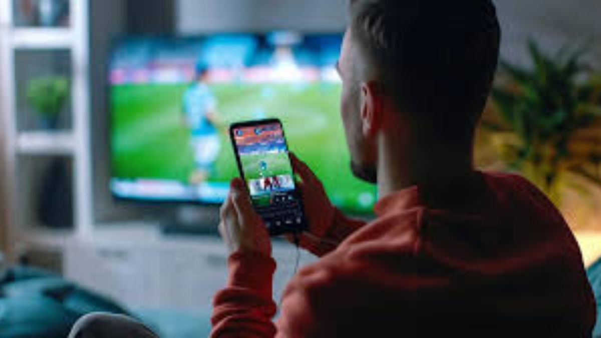 vipbox tv