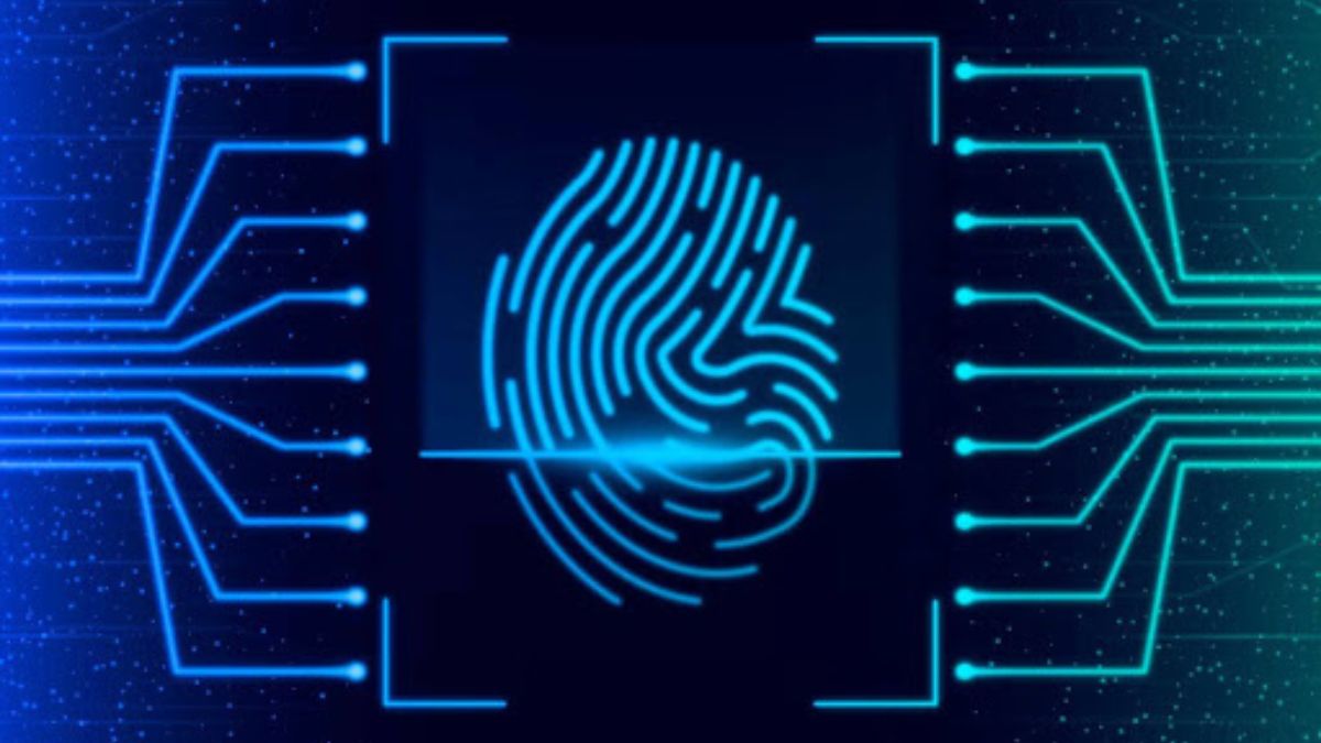 Digital Fingerprints