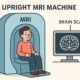 MRI Brain Scans