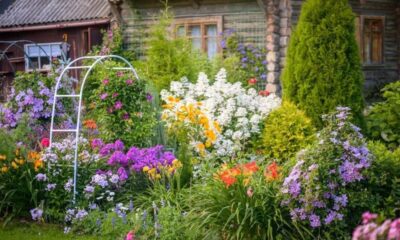 Residential Landscaping