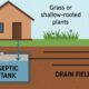 Septic Maintenance