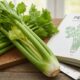 Pravi Celer: The Ultimate Guide to This Unique Celery Variety