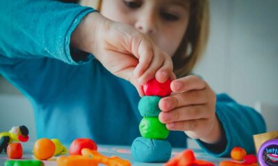 dough moulding compound