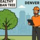 Tree Care
