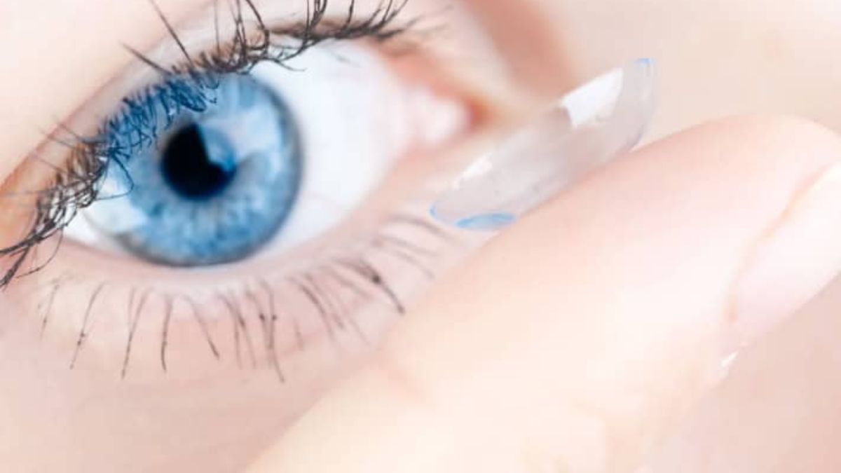 Contact Lenses