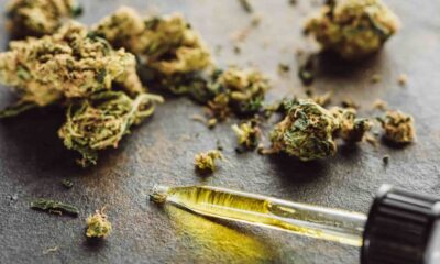 Cannabis Microdosing