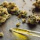 Cannabis Microdosing