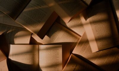 lush stories